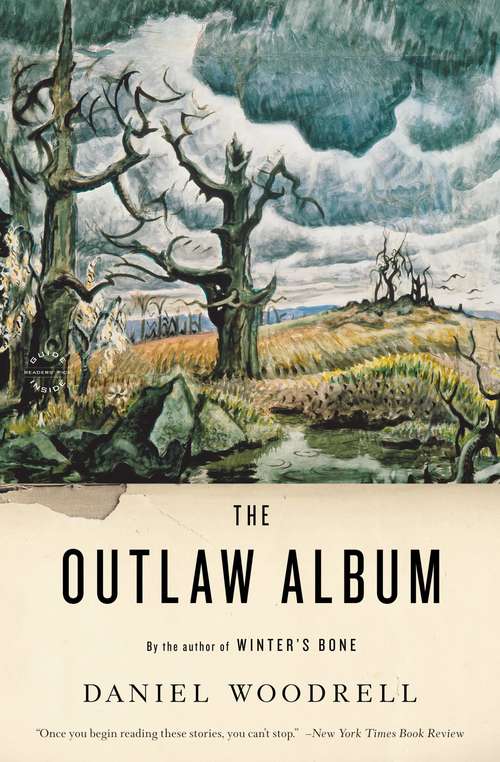 Book cover of The Outlaw Album