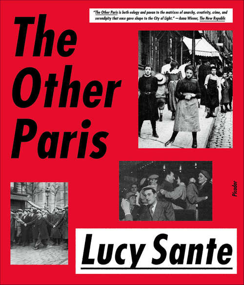 Book cover of The Other Paris