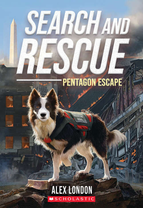 Book cover of Search and Rescue: Pentagon Escape