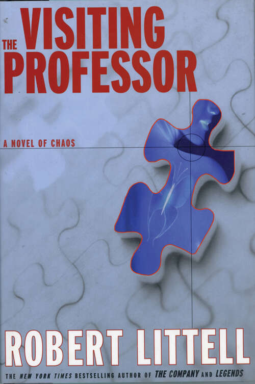Book cover of The Visiting Professor: A Novel of Chaos