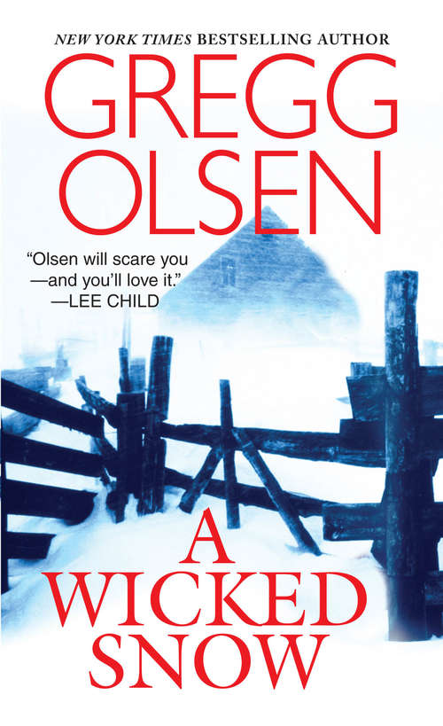 Book cover of A Wicked Snow