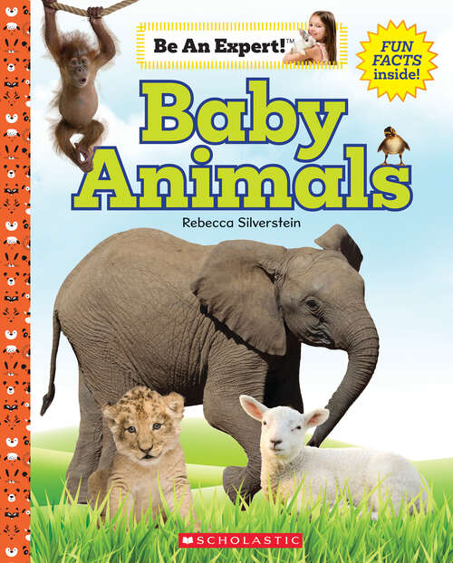 Book cover of Baby Animals (Be an Expert!)