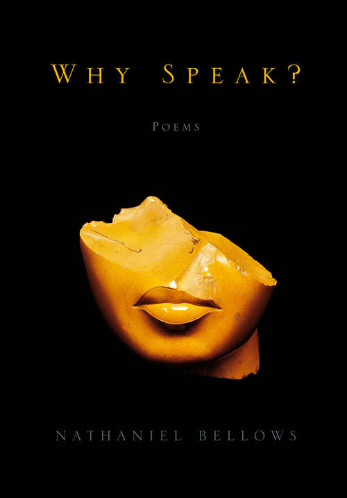 Book cover of Why Speak?: Poems