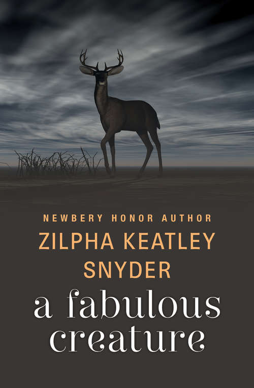Book cover of A Fabulous Creature