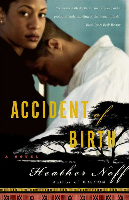 Book cover of Accident of Birth: A Novel