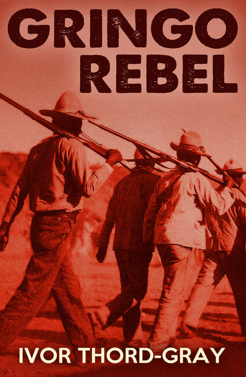 Book cover of Gringo Rebel