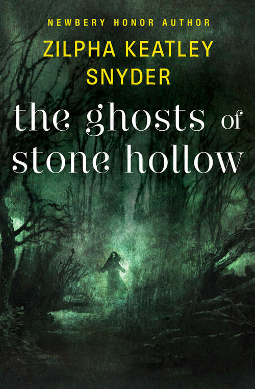 Book cover of The Ghosts of Stone Hollow (Digital Original)