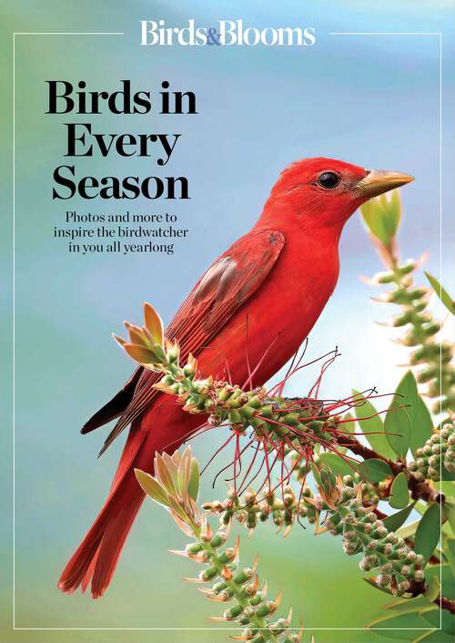 Book cover of Birds & Blooms Birds in Every Season: Cherish the Feathered Flyers in Your Yard All Year Long