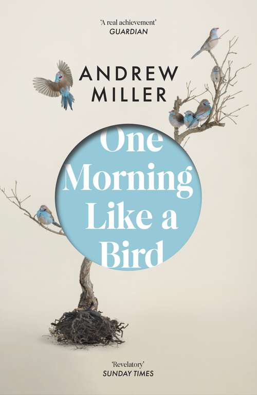 Book cover of One Morning Like a Bird