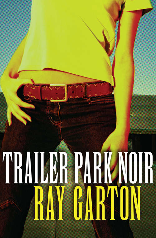 Book cover of Trailer Park Noir
