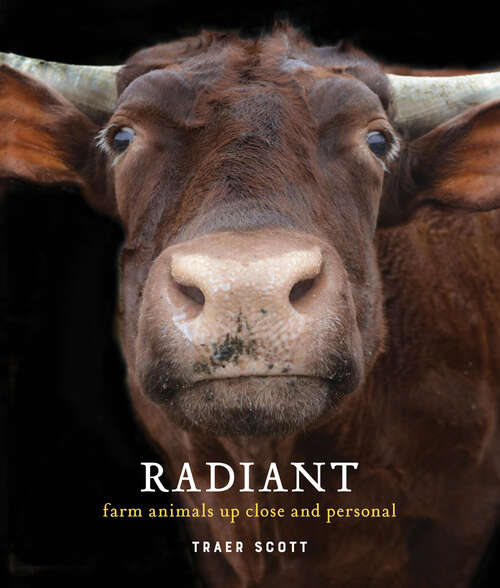 Book cover of Radiant: Farm Animals Up Close and Personal