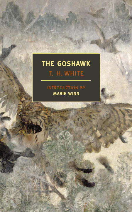 Book cover of The Goshawk
