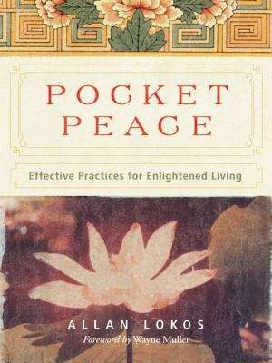 Book cover of Pocket Peace: Effective Practices for Enlightened Living