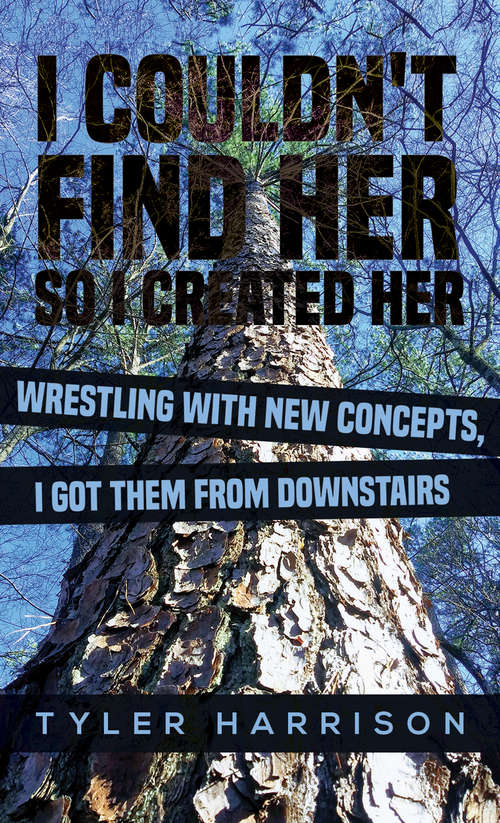 Book cover of I Couldn't Find Her So I Created Her: Wrestling with new concepts, I got them from downstairs