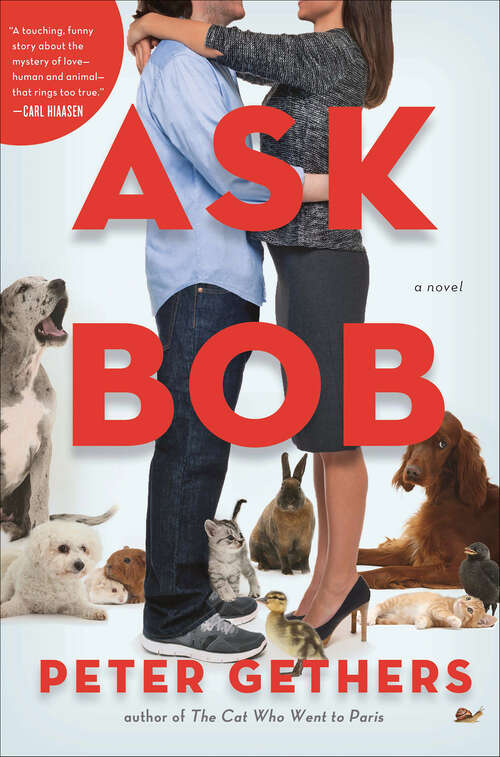 Book cover of Ask Bob: A Novel