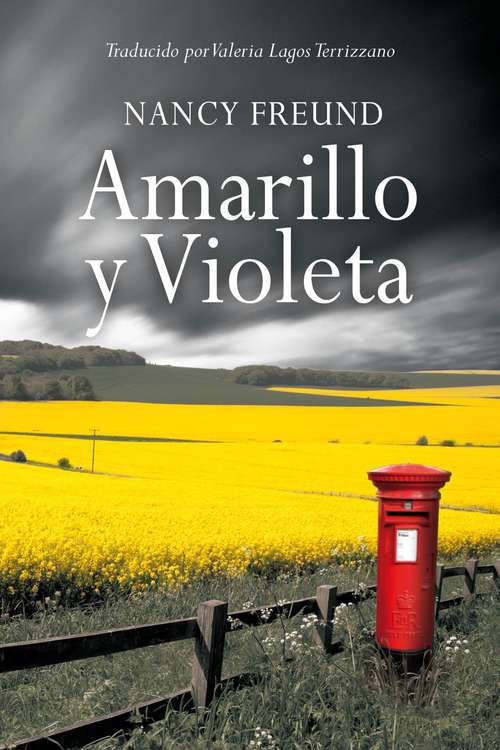 Book cover of Amarillo y Violeta