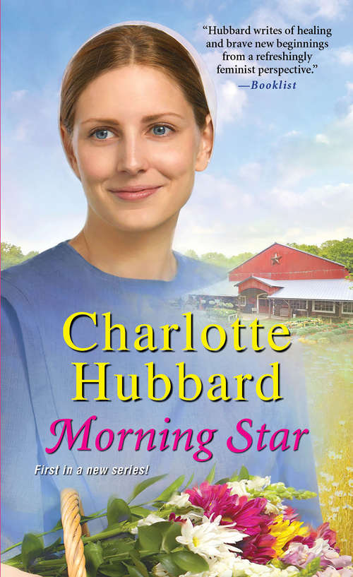Book cover of Morning Star (The Maidels of Morning Star #1)