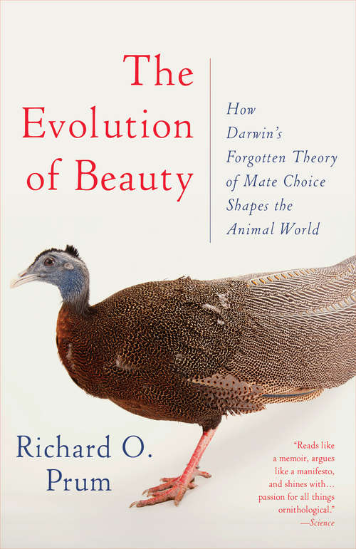 Book cover of The Evolution of Beauty: How Darwin's Forgotten Theory of Mate Choice Shapes the Animal World - and Us