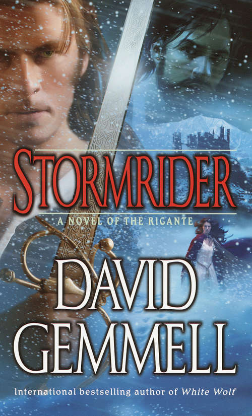 Book cover of Stormrider
