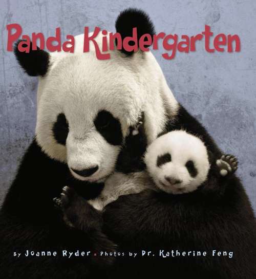 Book cover of Panda Kindergarten