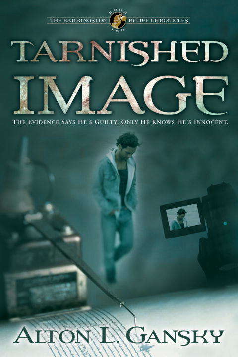 Book cover of Tarnished Image