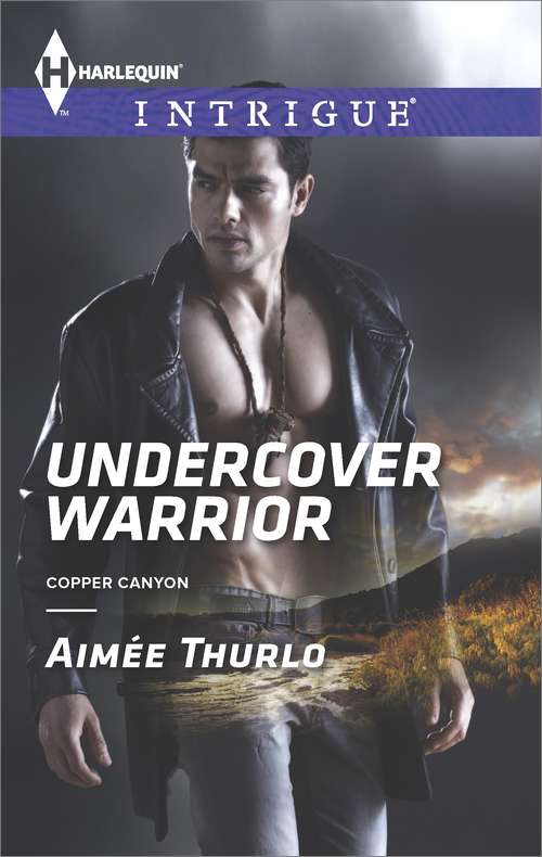 Book cover of Undercover Warrior