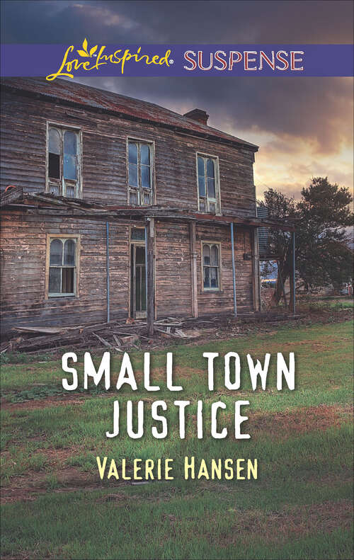 Book cover of Small Town Justice