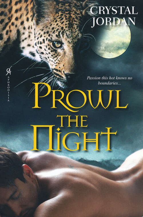 Book cover of Prowl the Night