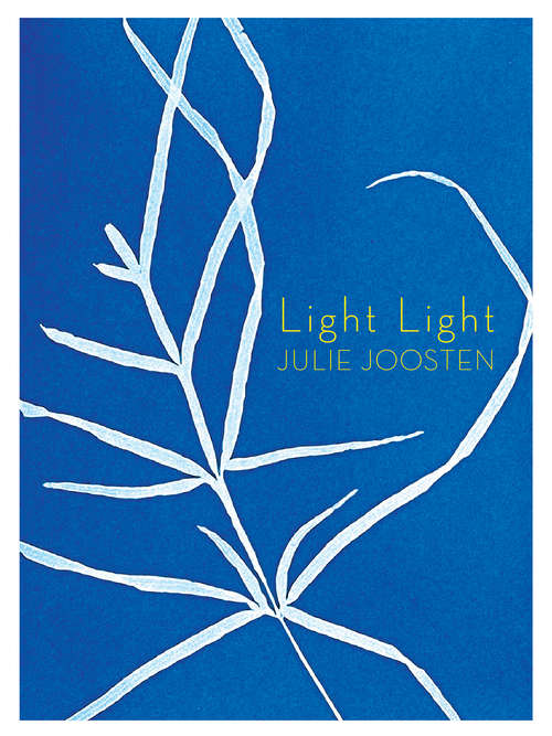 Book cover of Light Light