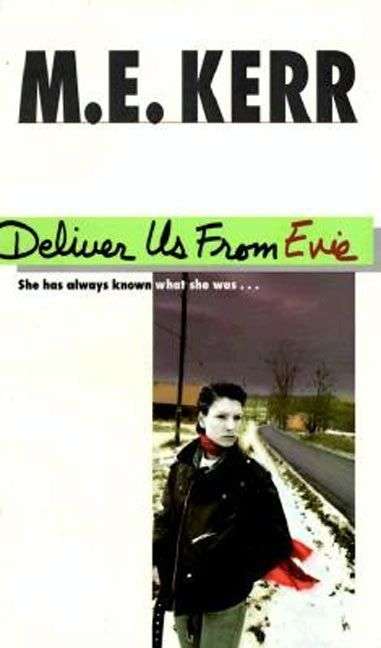Book cover of Deliver Us From Evie