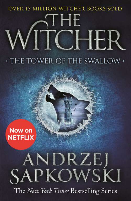 The tower of the swallows (The Witcher Saga #4)