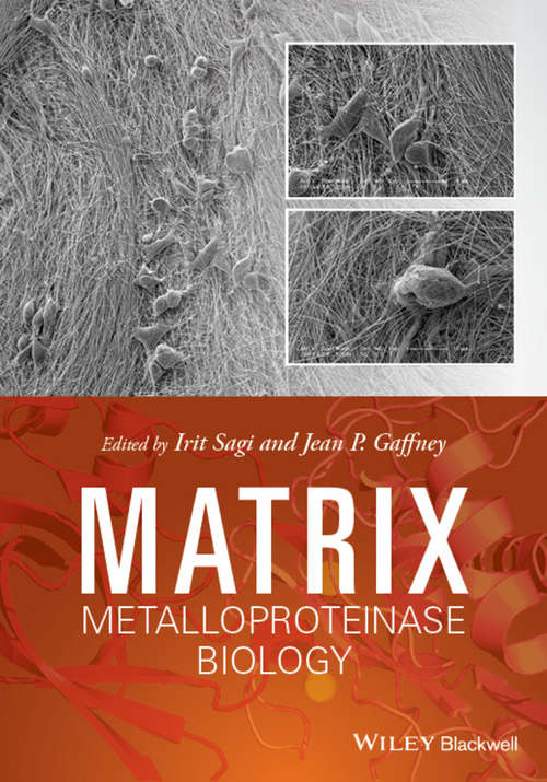 Book cover of Matrix Metalloproteinase Biology