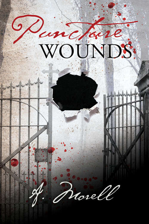 Book cover of Puncture Wounds