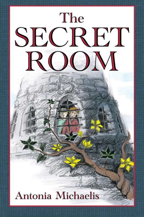 Book cover of The Secret Room