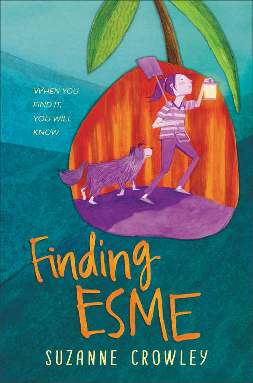 Book cover of Finding Esme