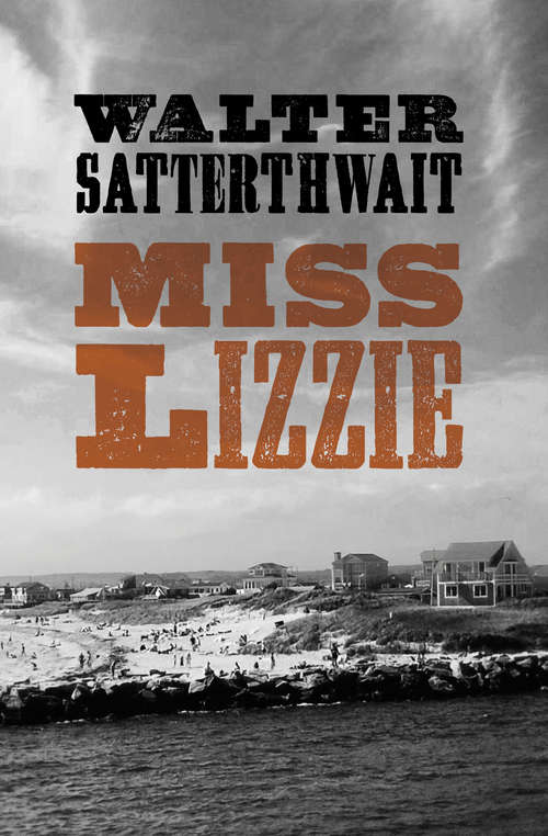 Book cover of Miss Lizzie