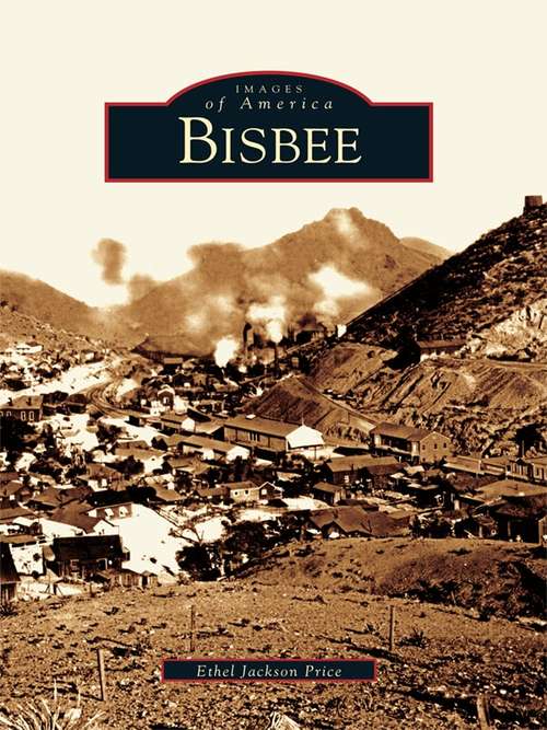 Book cover of Bisbee