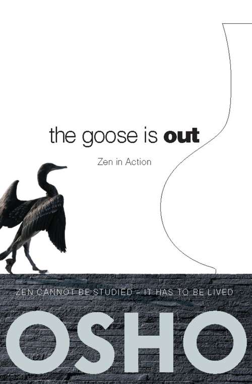 Book cover of The Goose Is Out