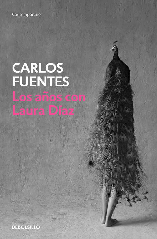 Book cover of Los años con Laura Díaz