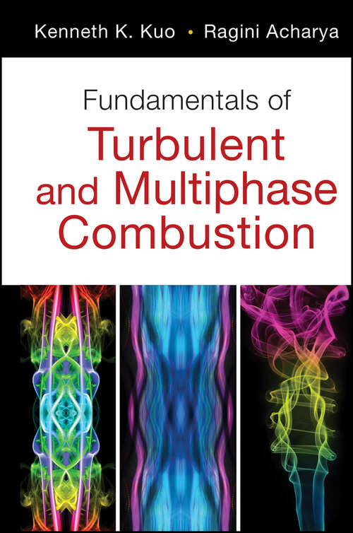 Book cover of Fundamentals of Turbulent and Multi-Phase Combustion