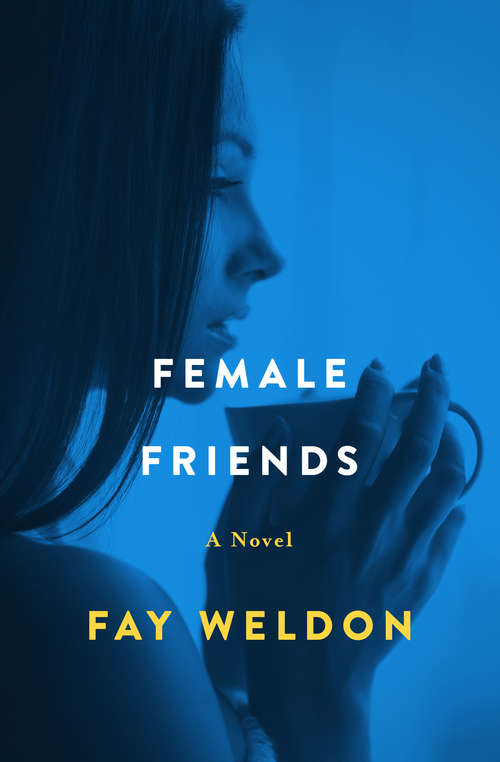 Book cover of Female Friends