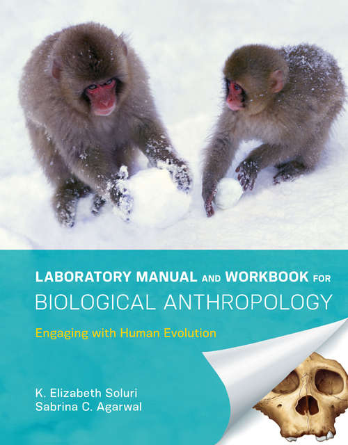 Book cover of Laboratory Manual and Workbook for Biological Anthropology