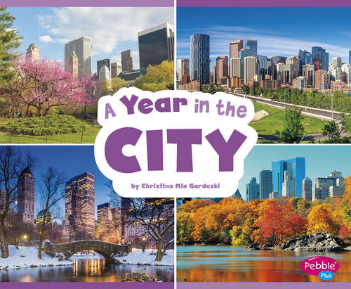 Book cover of A Year in the City (Season to Season)