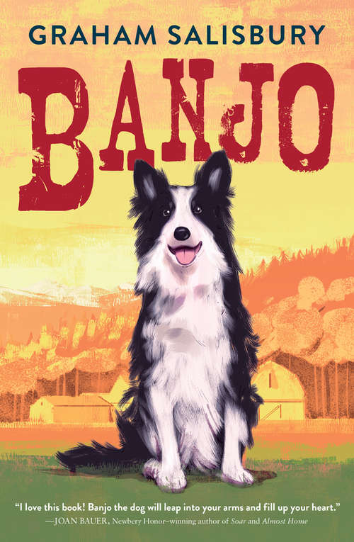 Book cover of Banjo