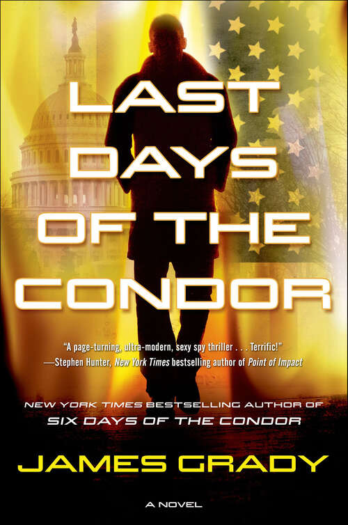 Book cover of Last Days of the Condor: A Novel