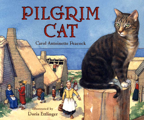 Book cover of Pilgrim Cat