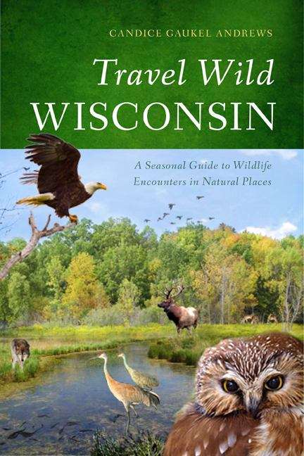 Book cover of Travel Wild Wisconsin