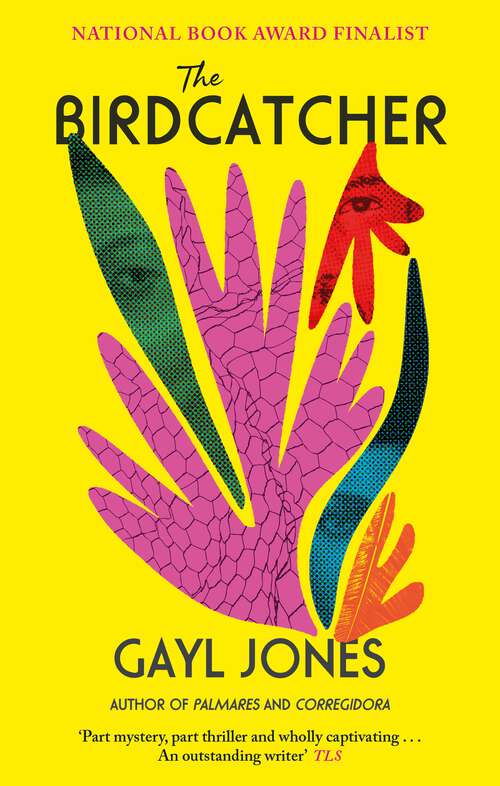 Book cover of The Birdcatcher