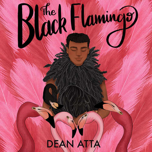 Book cover of The Black Flamingo (Black Stories Matter)