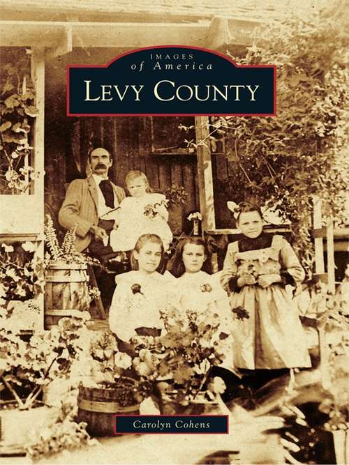 Book cover of Levy County